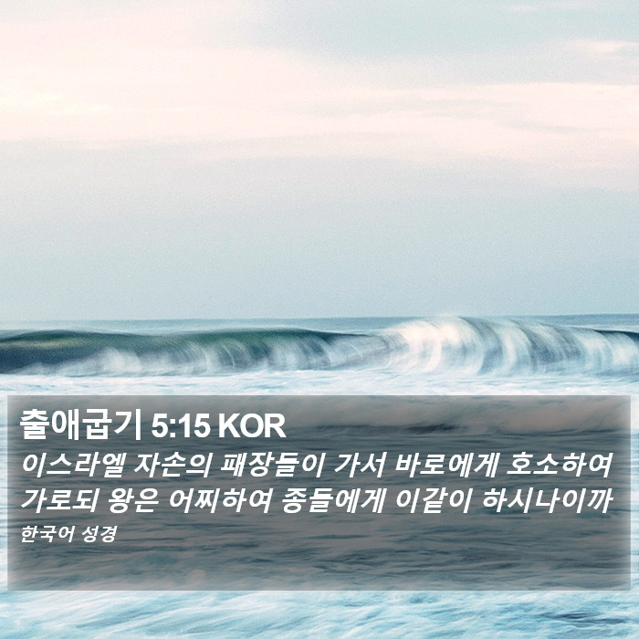출애굽기 5:15 KOR Bible Study