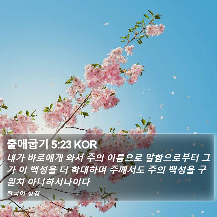 출애굽기 5:23 KOR Bible Study