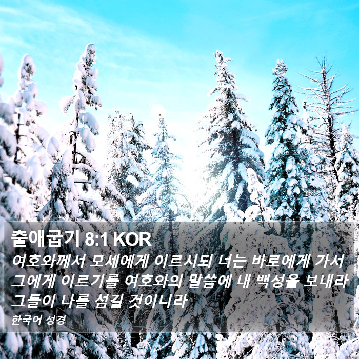 출애굽기 8:1 KOR Bible Study