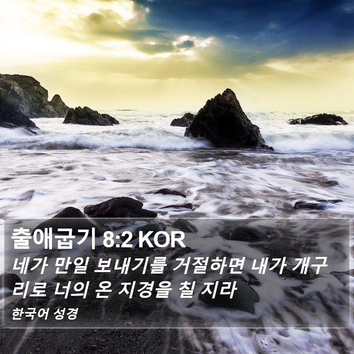 출애굽기 8:2 KOR Bible Study