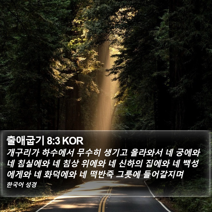 출애굽기 8:3 KOR Bible Study