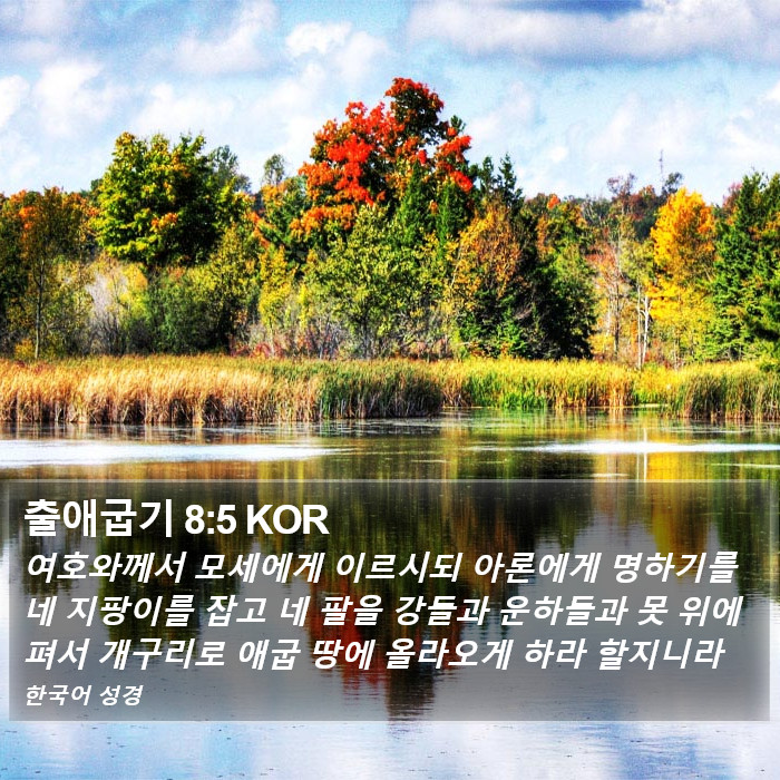 출애굽기 8:5 KOR Bible Study