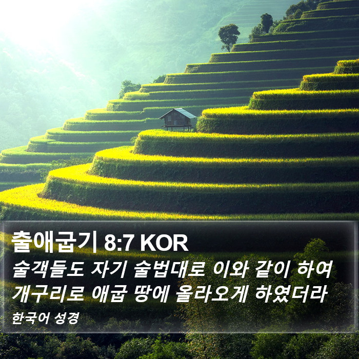 출애굽기 8:7 KOR Bible Study