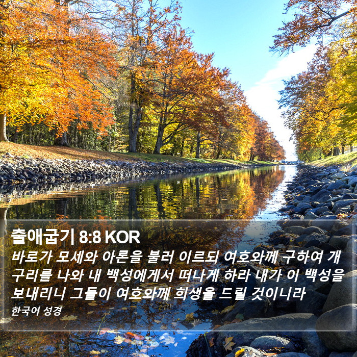 출애굽기 8:8 KOR Bible Study