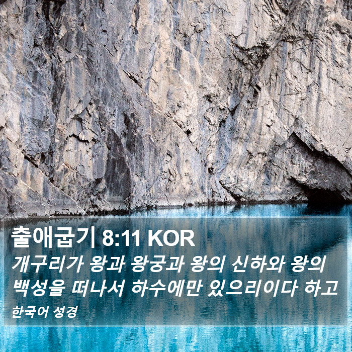 출애굽기 8:11 KOR Bible Study