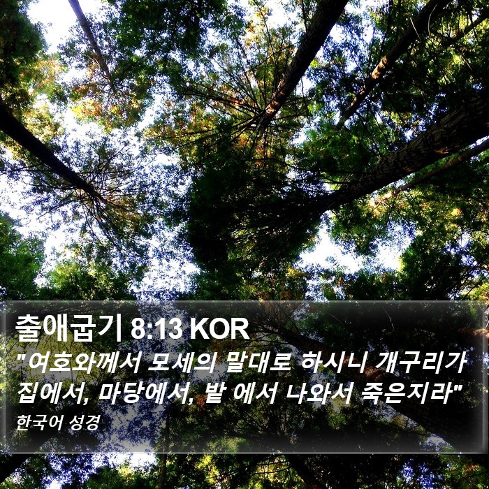 출애굽기 8:13 KOR Bible Study