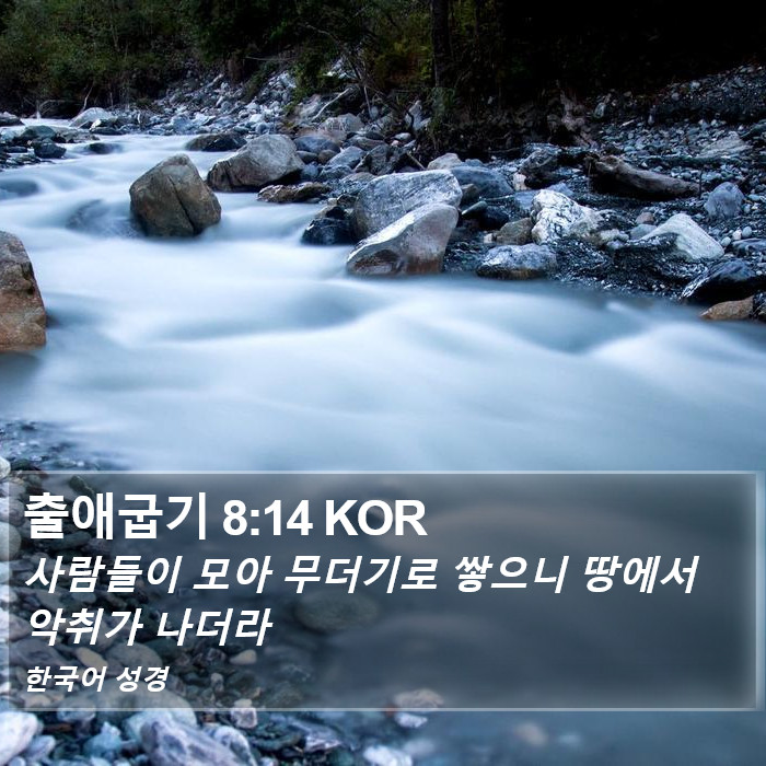 출애굽기 8:14 KOR Bible Study