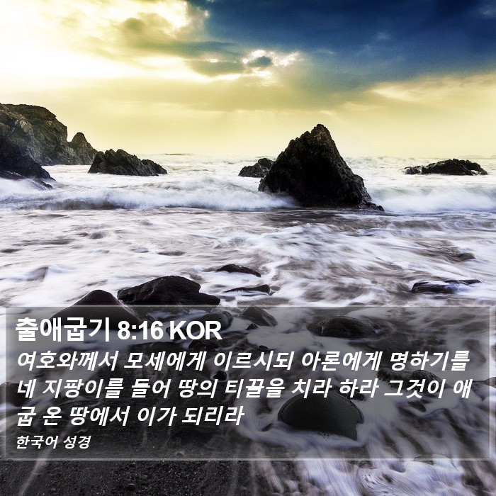 출애굽기 8:16 KOR Bible Study