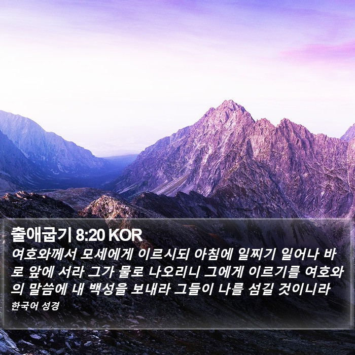 출애굽기 8:20 KOR Bible Study