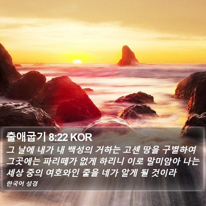 출애굽기 8:22 KOR Bible Study