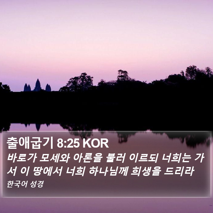 출애굽기 8:25 KOR Bible Study