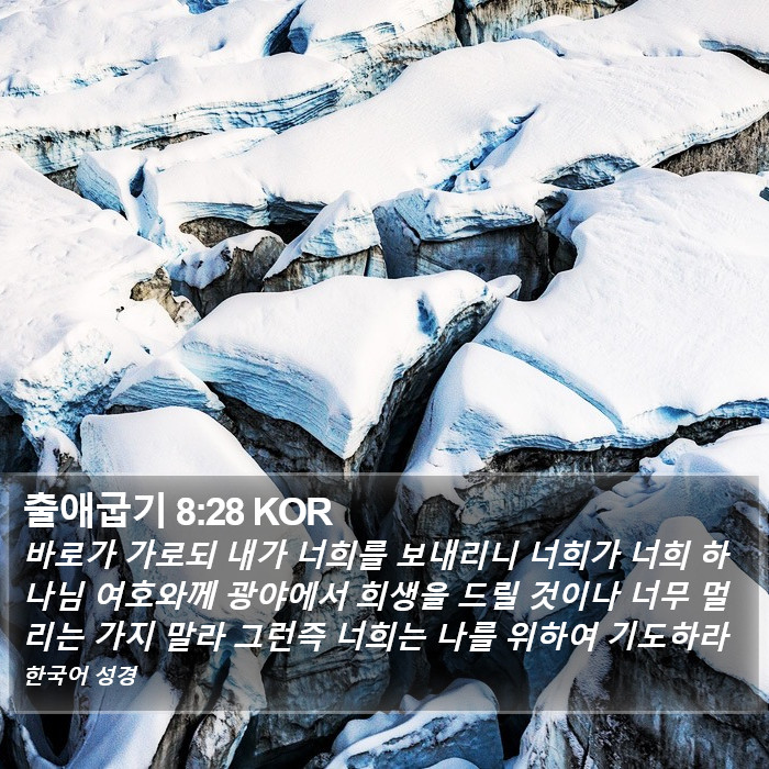 출애굽기 8:28 KOR Bible Study