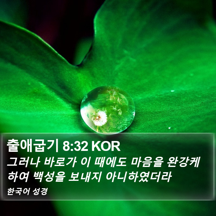 출애굽기 8:32 KOR Bible Study