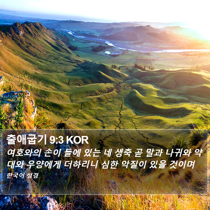 출애굽기 9:3 KOR Bible Study