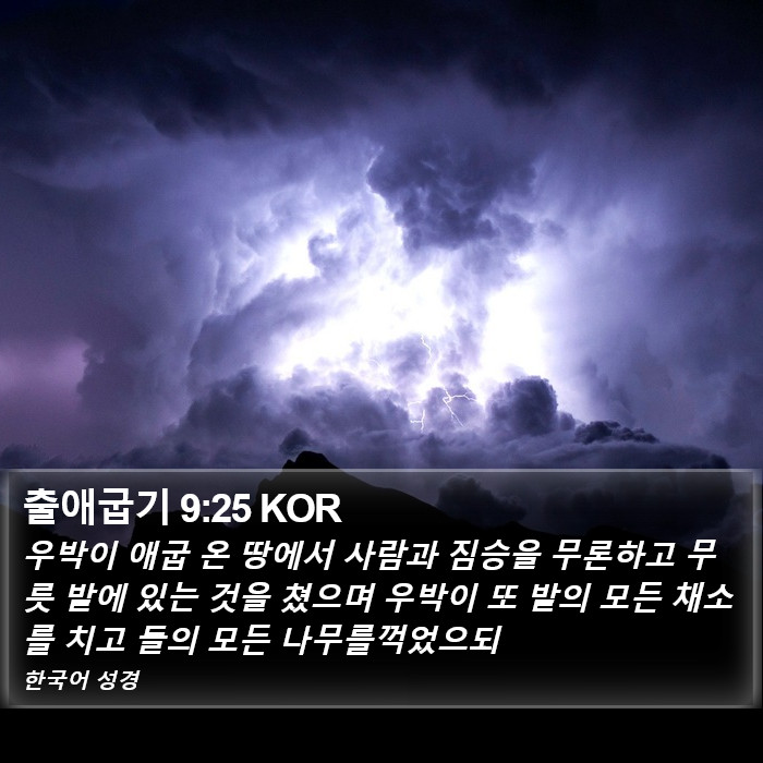 출애굽기 9:25 KOR Bible Study