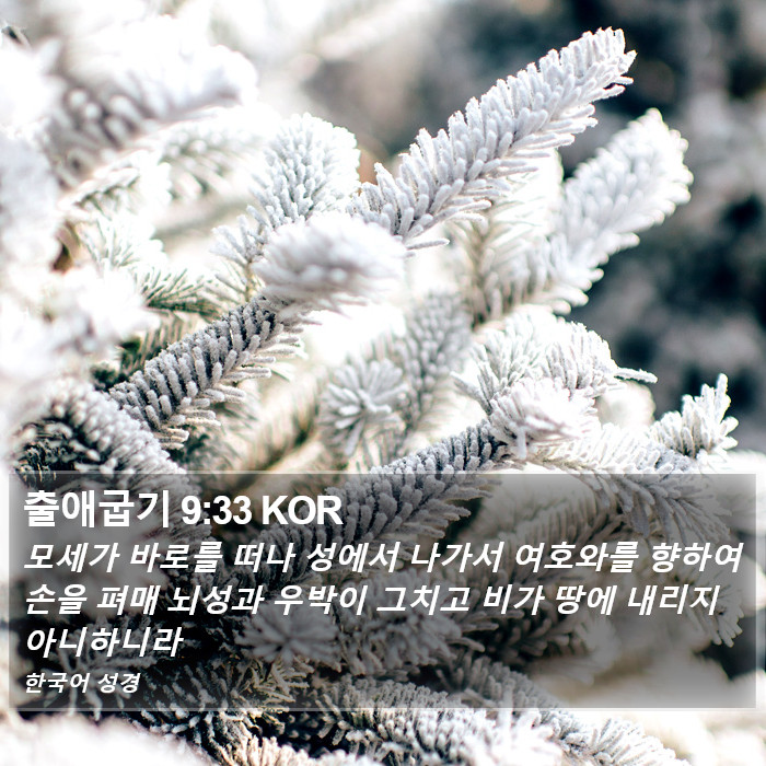 출애굽기 9:33 KOR Bible Study