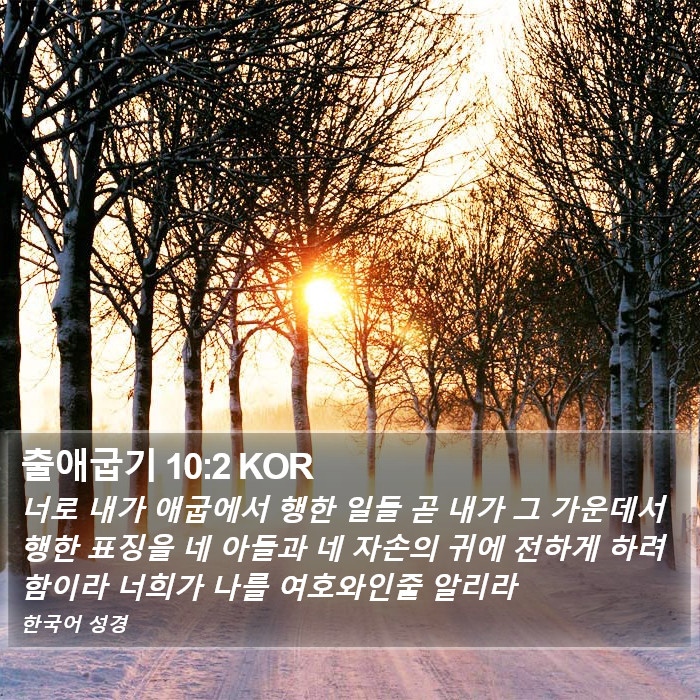 출애굽기 10:2 KOR Bible Study