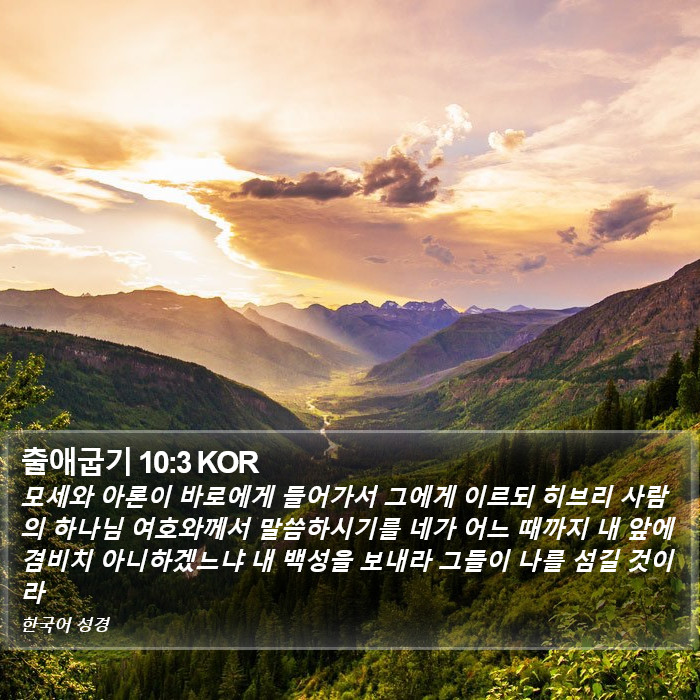 출애굽기 10:3 KOR Bible Study