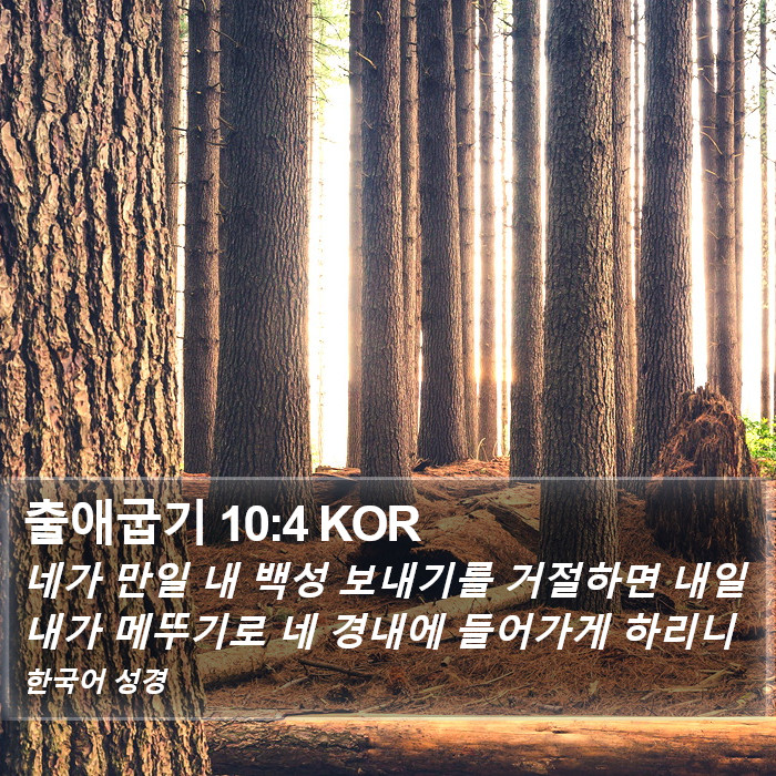 출애굽기 10:4 KOR Bible Study