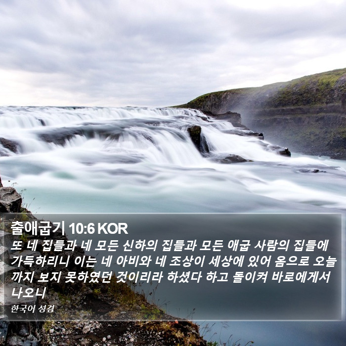 출애굽기 10:6 KOR Bible Study