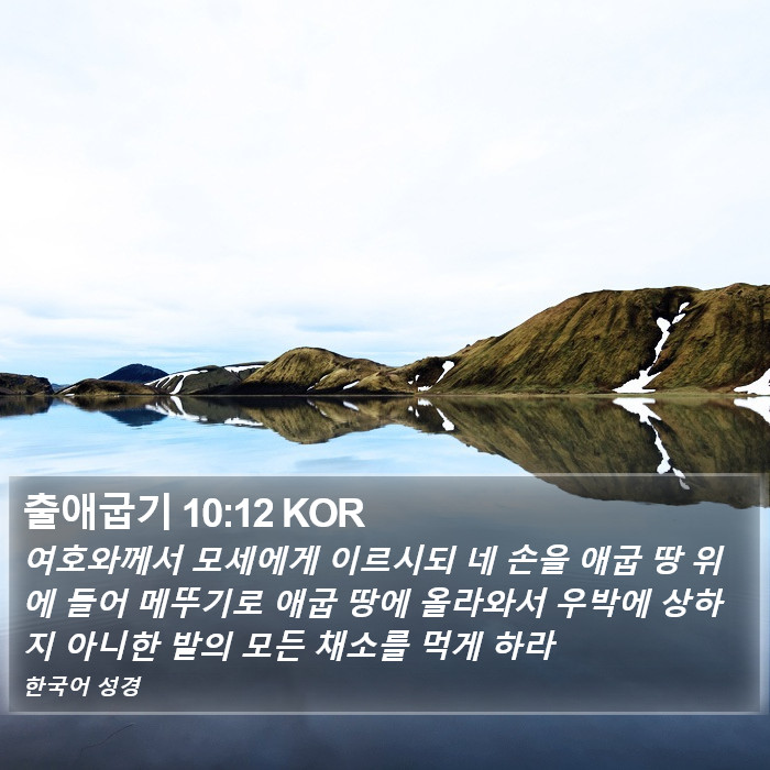 출애굽기 10:12 KOR Bible Study