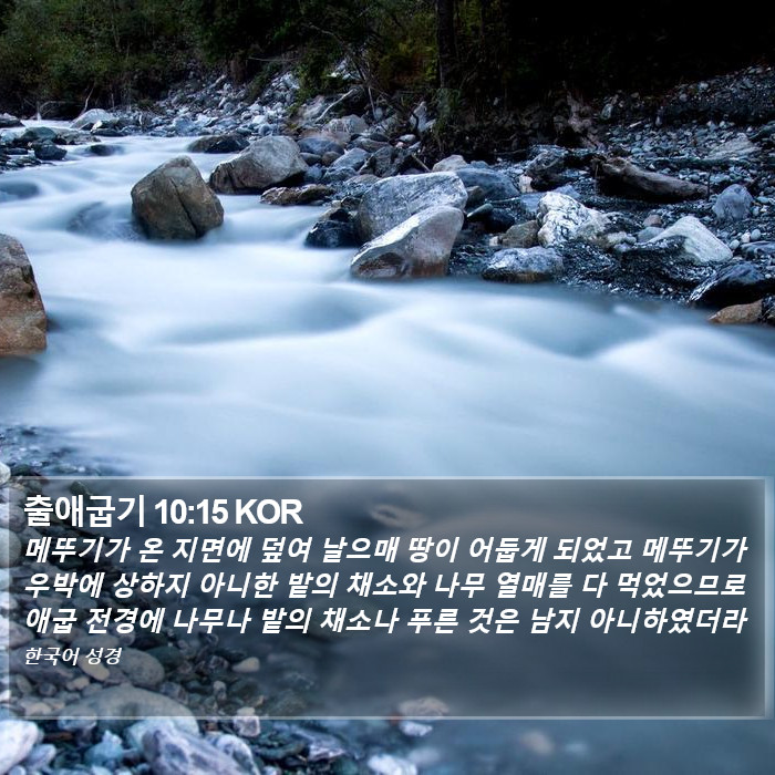 출애굽기 10:15 KOR Bible Study