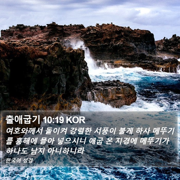 출애굽기 10:19 KOR Bible Study