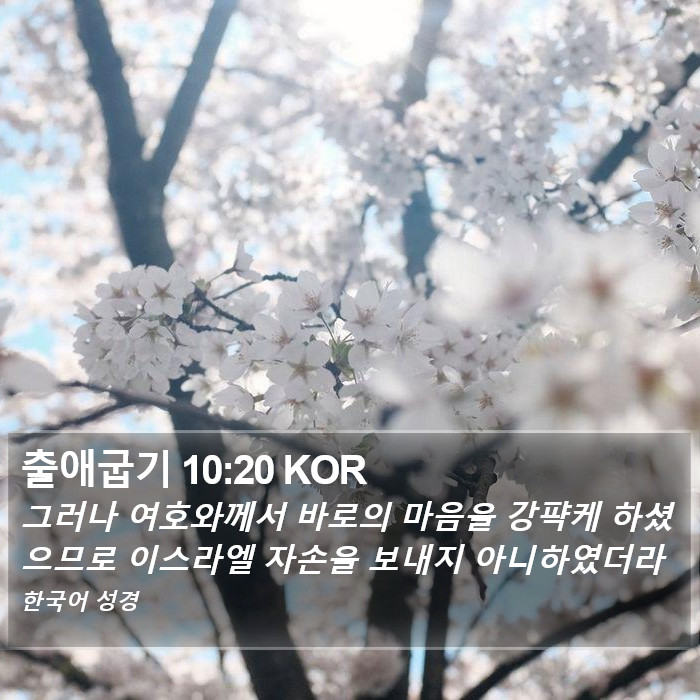 출애굽기 10:20 KOR Bible Study