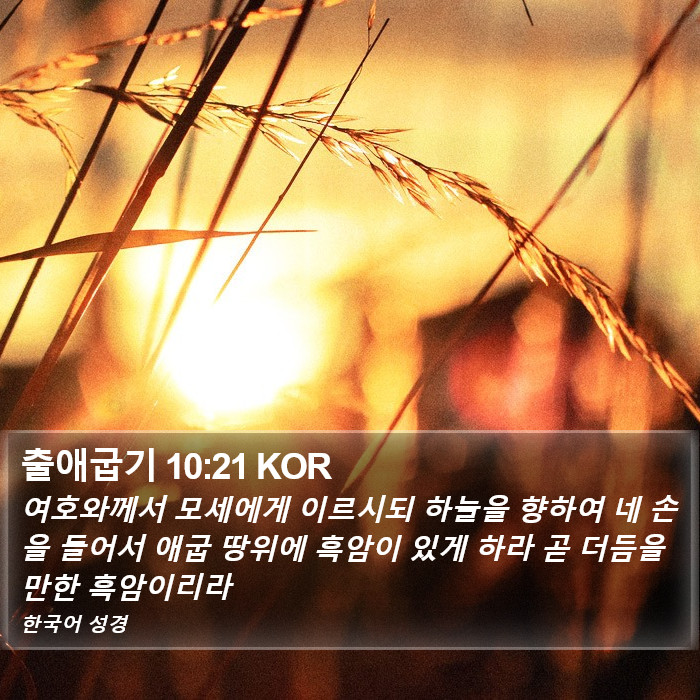 출애굽기 10:21 KOR Bible Study