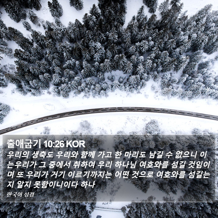 출애굽기 10:26 KOR Bible Study