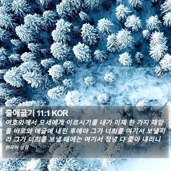 출애굽기 11:1 KOR Bible Study