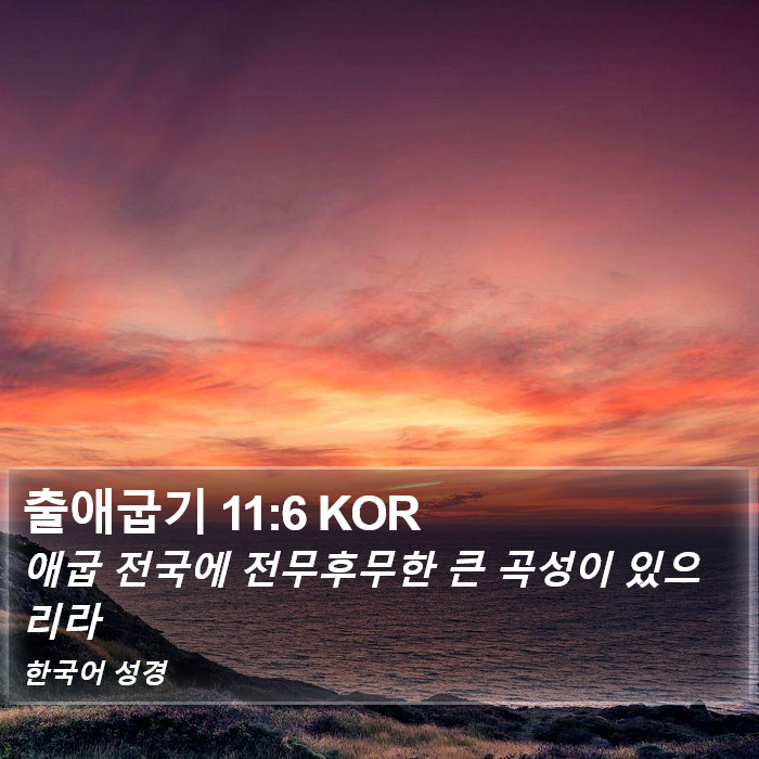 출애굽기 11:6 KOR Bible Study