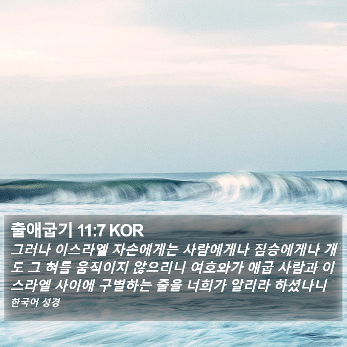 출애굽기 11:7 KOR Bible Study