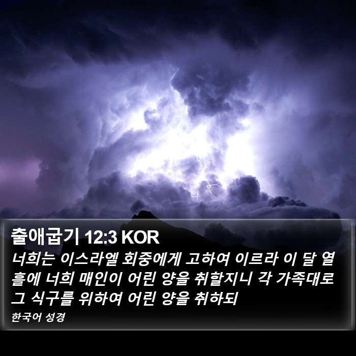 출애굽기 12:3 KOR Bible Study