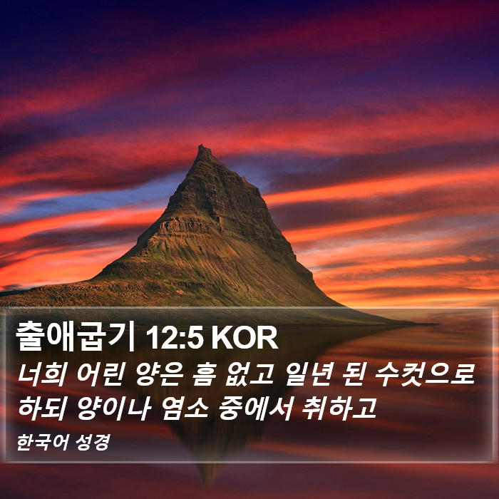 출애굽기 12:5 KOR Bible Study