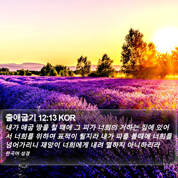 출애굽기 12:13 KOR Bible Study