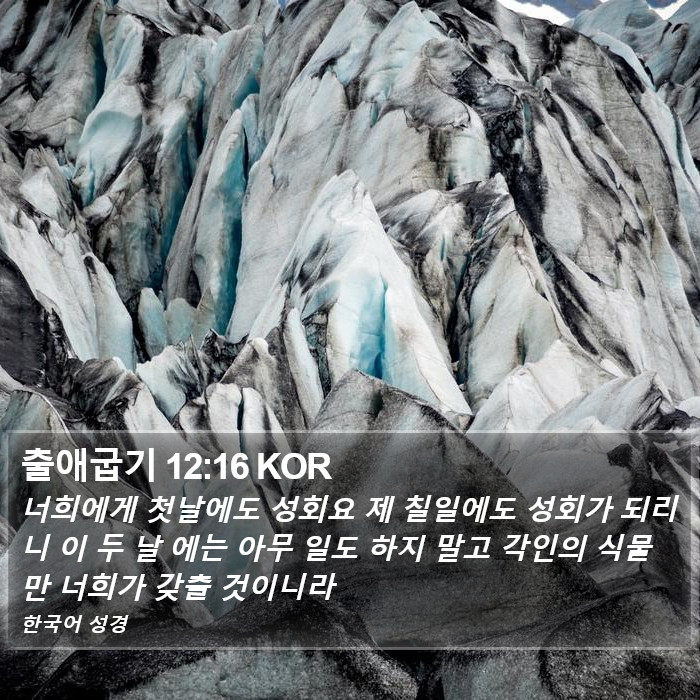 출애굽기 12:16 KOR Bible Study