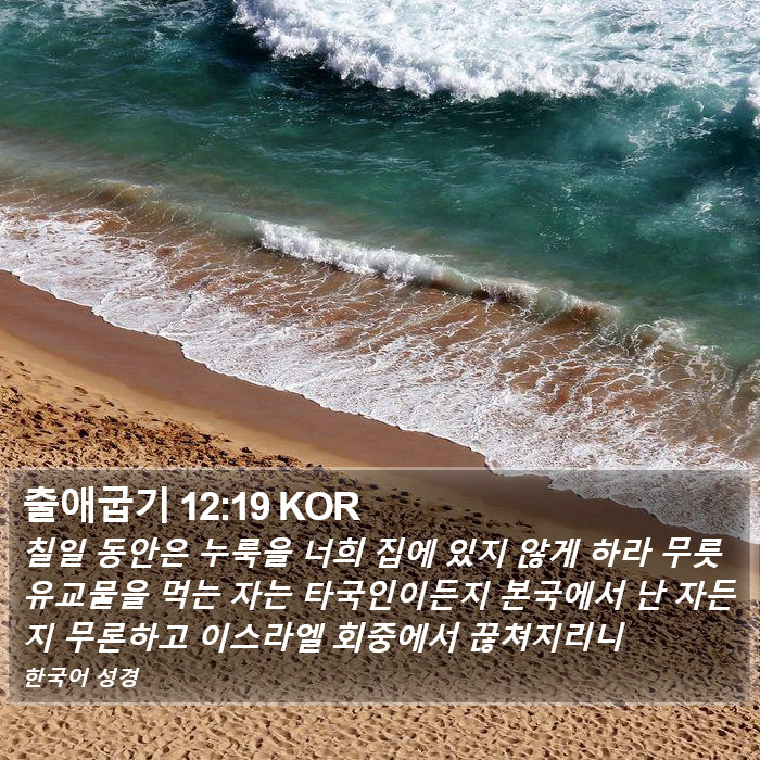 출애굽기 12:19 KOR Bible Study