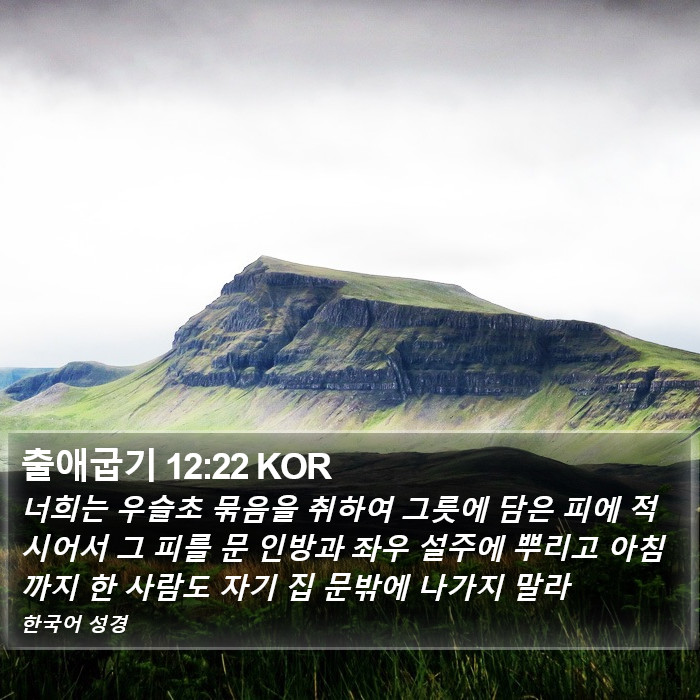 출애굽기 12:22 KOR Bible Study