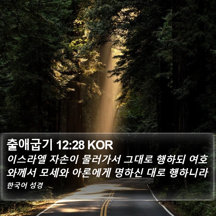 출애굽기 12:28 KOR Bible Study