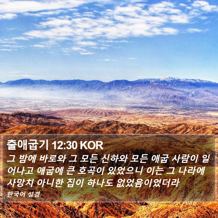 출애굽기 12:30 KOR Bible Study