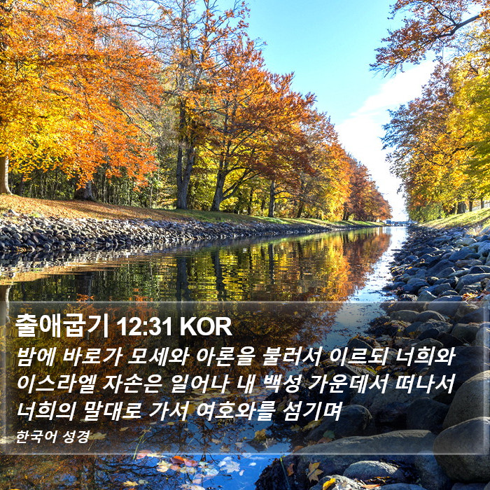 출애굽기 12:31 KOR Bible Study