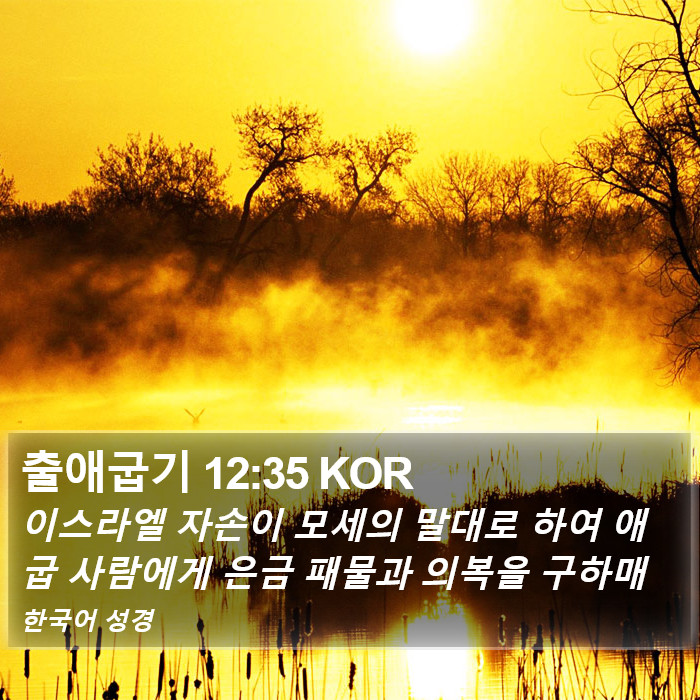 출애굽기 12:35 KOR Bible Study