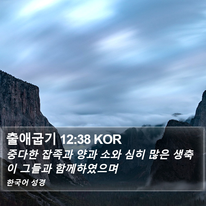 출애굽기 12:38 KOR Bible Study