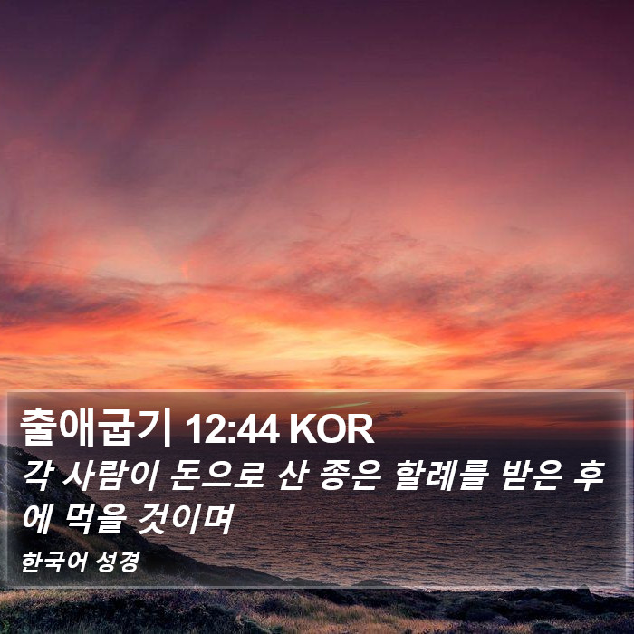 출애굽기 12:44 KOR Bible Study