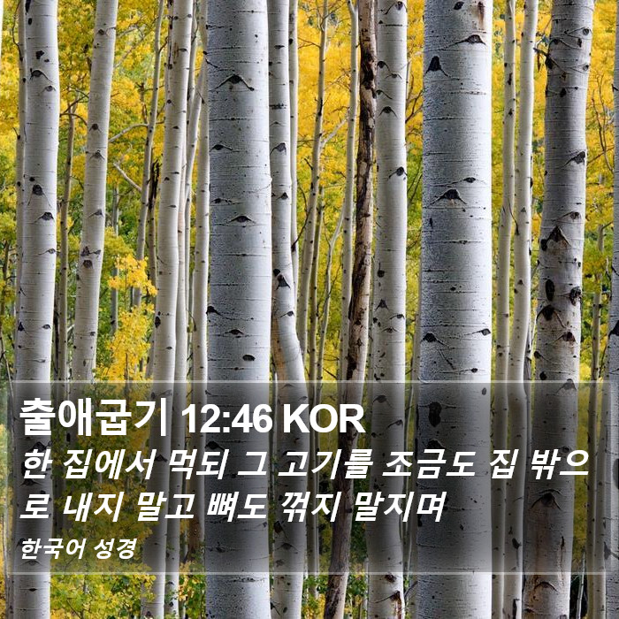 출애굽기 12:46 KOR Bible Study