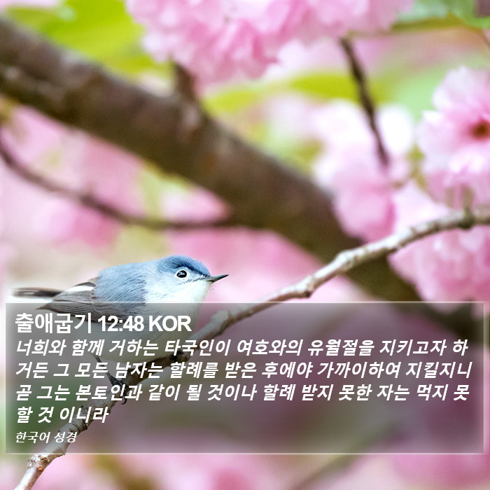 출애굽기 12:48 KOR Bible Study