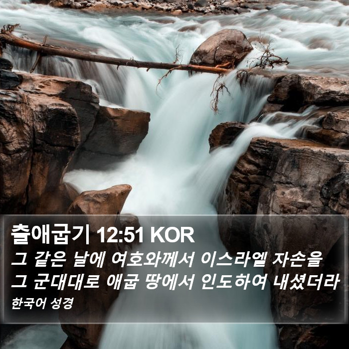 출애굽기 12:51 KOR Bible Study