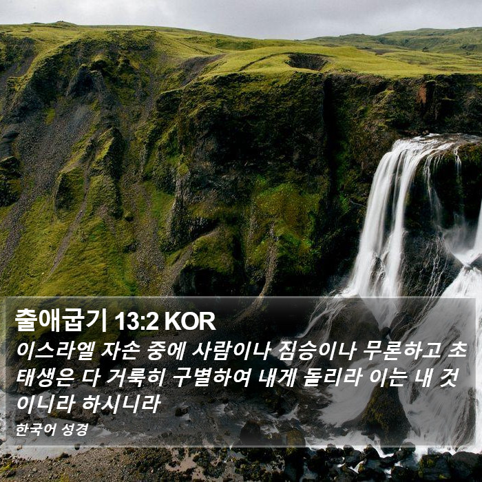 출애굽기 13:2 KOR Bible Study