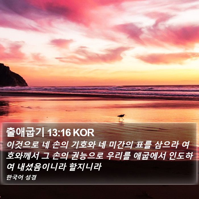 출애굽기 13:16 KOR Bible Study